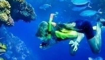 Diving and Snorkeling